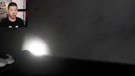 玩完这个游戏,就再也不想当侦探了!模特成精了?鲤鱼Ace解说