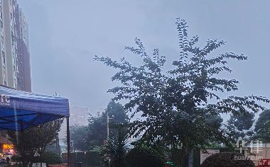 一、明星解约违约金一般是多少钱